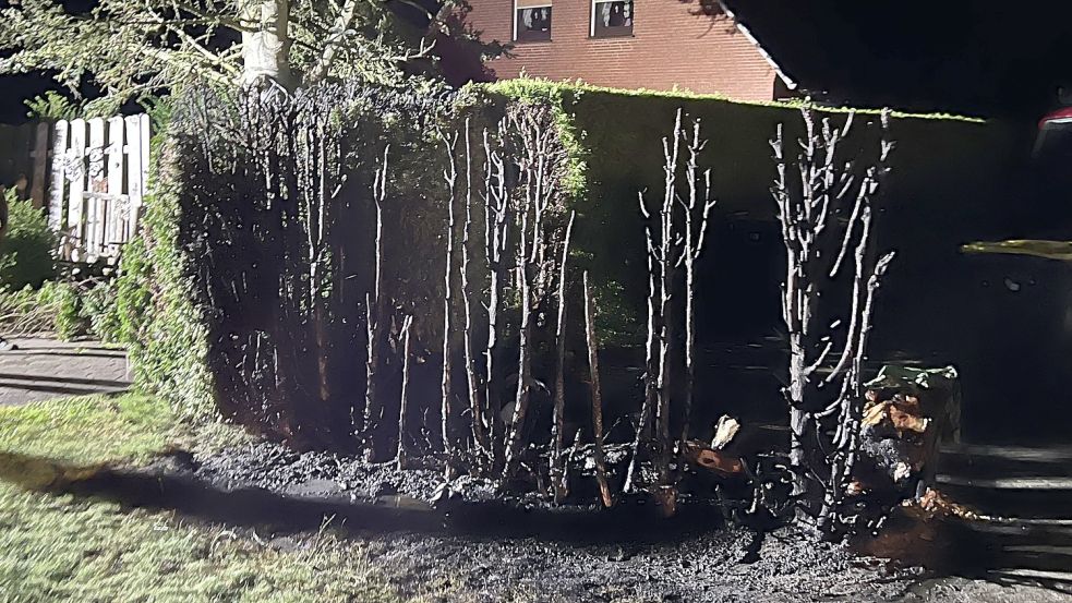 Von der Hecke blieb nur ein Gerippe übrig. Foto: Kreisfeuerwehrverband Aurich