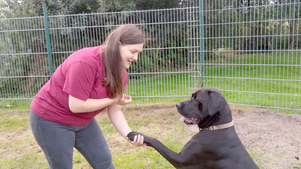 Hund Balu gibt der ersten Vorsitzenden des Tierschutzvereins Borkum brav das Pfötchen. Eventuell kann er sich demnächst über mehr Auslauf freuen. Foto: Archiv