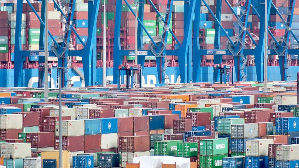 Containerterminal Tollerort im Hamburger Hafen. Foto: dpa