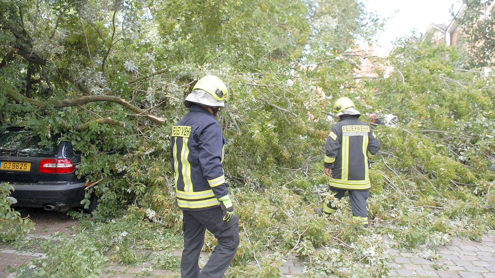 Die Feuerwehrleute bahnten sich mit Kettensägen den Weg zu Autos unter dem Ast. Foto: H. Müller