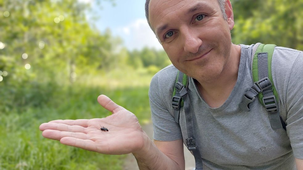 Stefan Rölling hat gleich zu Beginn des Waldweges einen Laufkäfer entdeckt. Der ist aber leider schon tot. Fotos: Hanssen