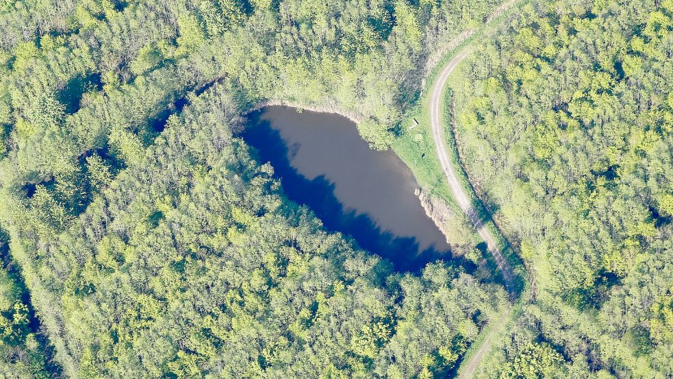 Refugium im Emder Stadtnorden: der Stadtwald aus der Vogelperspektive. Foto: Bruns