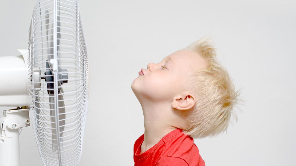 Um sich vor der sommerlichen Hitze zu schützen, sind Ventilatoren kosteneffizienter und besser geeignet als mobile Klimaanlagen. Foto: LBS West/dpa