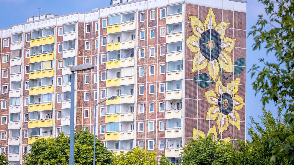 30 Jahre nach den ausländerfeindlichen Ausschreitungen in Rostock-Lichtenhagen. Foto: dpa/Jens Büttner