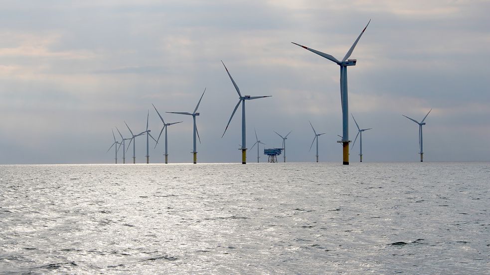 Der Windpark Riffgat steht etwa 15 Kilometer nördlich von Borkum. Foto: Oltmanns