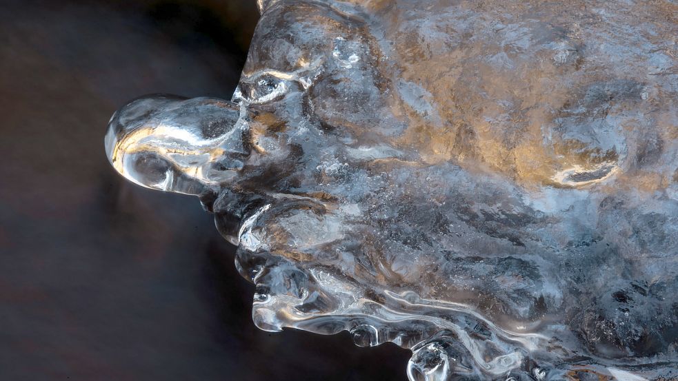 Die Bilder der Ausstellung sind faszinierend. Foto: Bernhard Volmer