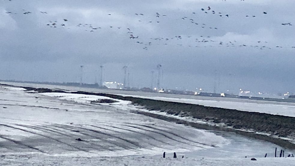 Weil der Geisedamm Löcher aufweist, parallel zur Deichlinie in Pogum hat sich eine Auskolkung gebildet, ein tiefer Priel. Foto: Gettkowski