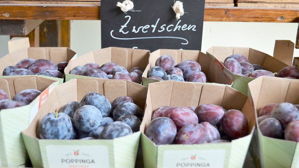 Die Zwetschen vom Poppinga Obsthof werden unter anderem im eigenen Hofladen verkauft – quasi nach dem Motto: vom Baum in den Laden. Fotos: Hoppe