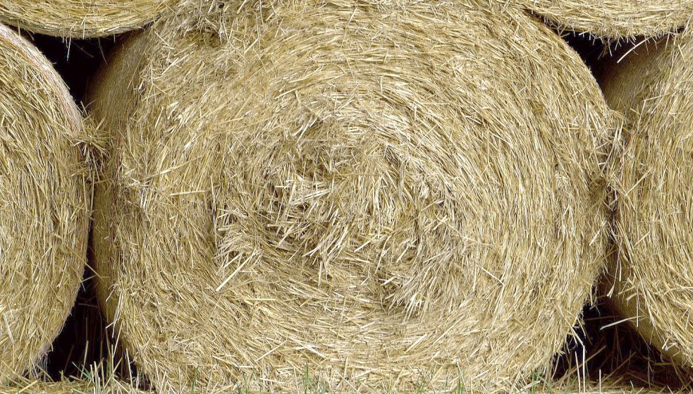70 Heuballen sind am Samstagnachmittag in Altenoythe in Brand geraten. Symbolfoto: Pixabay