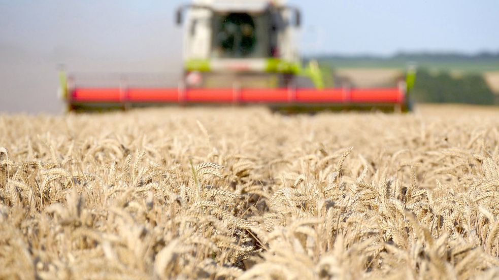 Ernte in Niedersachsen: Die Landwirtschaft ist in dem Bundesland ein wichtiger Wirtschaftszweig. Was planen die Parteien in Sachen Agrar und Umwelt nach der Landtagswahl 2022? Foto: Imago images/Martin Wagner