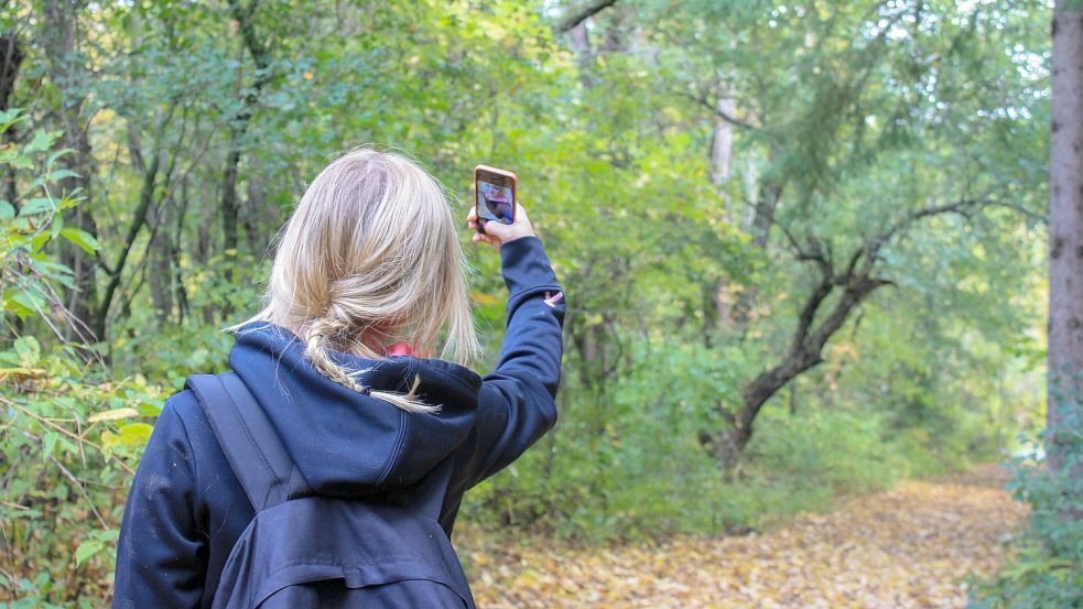 Auf diesem Symbolfoto macht ein Mädchen ein Bild von sich. Foto: Pixabay