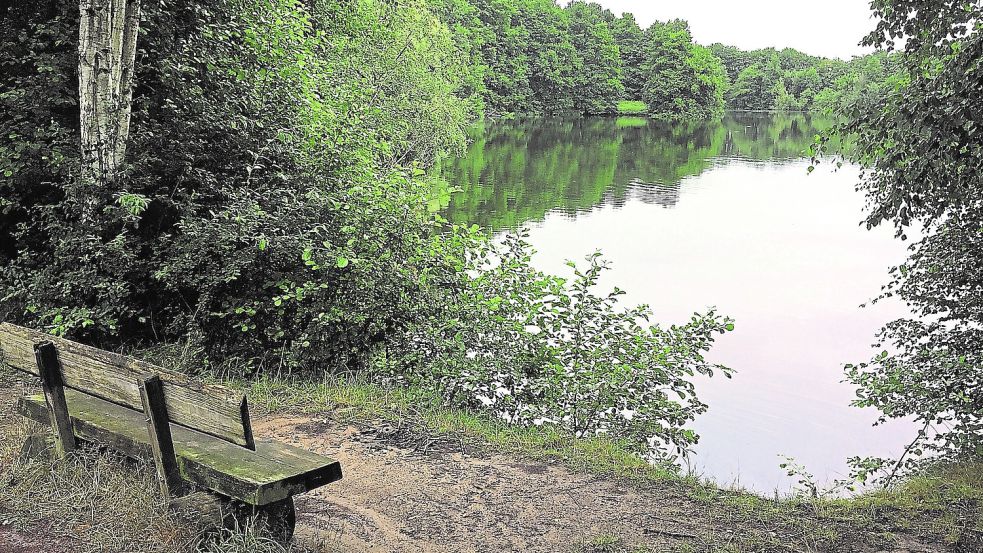 Die geplante Freizeitanlage im Volkspark Bokel wird nicht realisiert. Foto: Schade