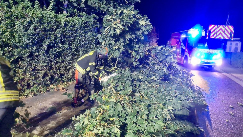 In Norden war ein kleiner Baum auf die Straße gefallen. Foto: Feuerwehr