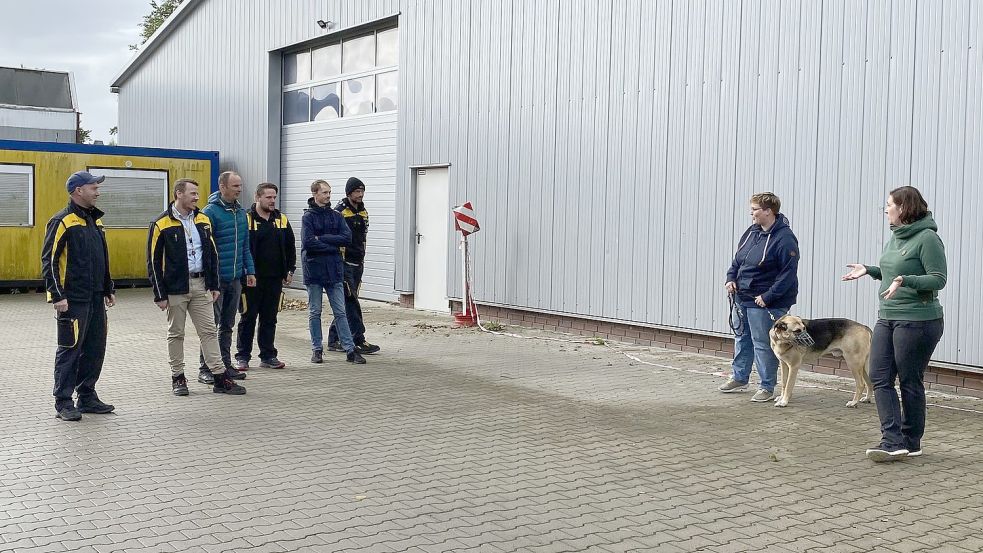 Die Zusteller der Deutschen Post konnten hautnah miterleben, wie sich ein Hund verhält, wenn er sich oder sein Revier in Gefahr sieht: Die Boten sollte am Hund vorbeirennen als würden sie ein Paket zustellen. Foto: Löschen