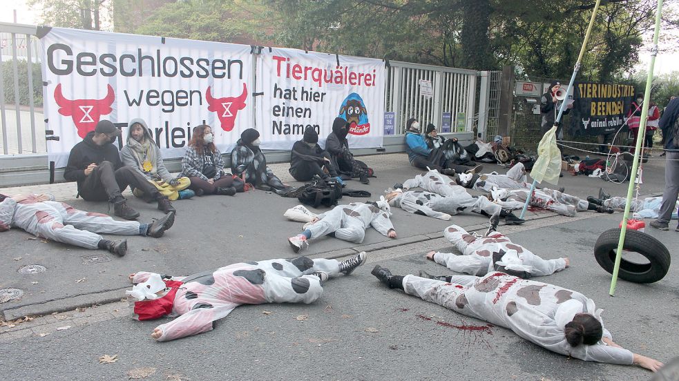 „Animal Rebellion“ protestierte in Kuh-Anzügen. Foto: Heinig