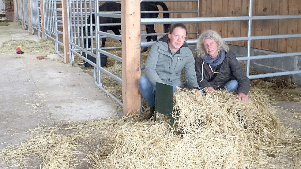 Wiebke Martens (links) und Andrea Kerzel „verstecken“ eine der Lebendfallen für die 40 Katzen auf dem Wiekenhof. Foto: Schönig