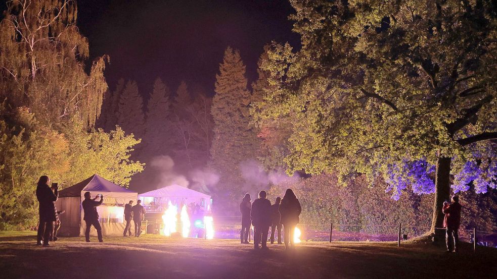 Außer LED-Lichtern werden bei der Illumina auch ein paar Feuer entzündet. Fotos: Boki