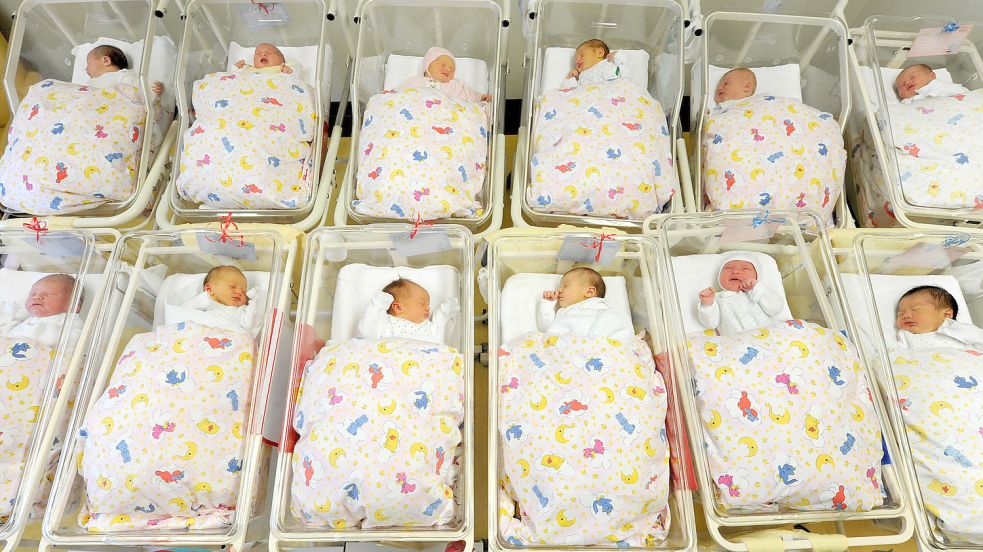 Ein frisches Dutzend Erdenbürger: In Ostfriesland kamen im vergangenen Jahr 4210 Babys zur Welt. Foto: Gulitzsch/dpa