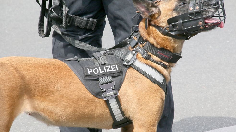 In Hessen hat ein Mann während eines Einsatzes einen Polizeihund gebissen. Foto: imago images/Rolf Kremming