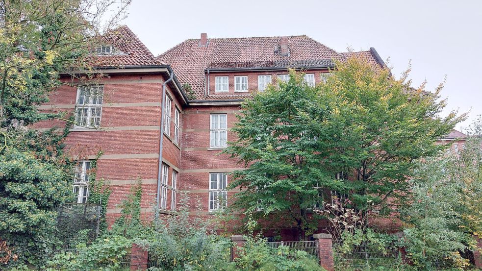 Langsam erobert sich die Natur das Schulgebäude zurück. Foto: Hanssen