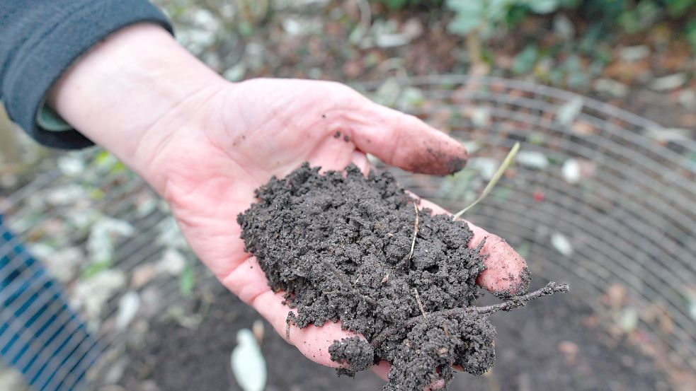 Aus Gartenabfällen wird beim Kompostieren neue Erde – aber sie ist für manche nicht sauer genug. Foto: Ortgies