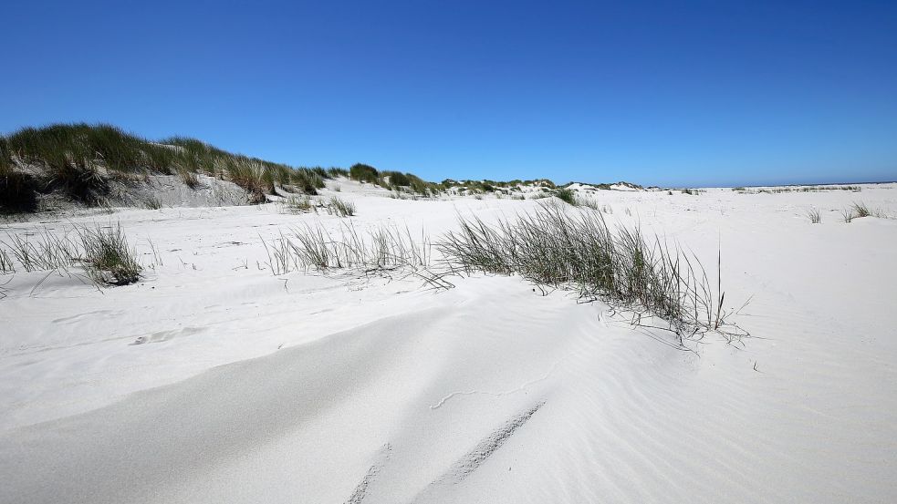 Am Ostende gibt es einen Weg durch die Dünen von der Meierei an den Strand. Foto: Böning