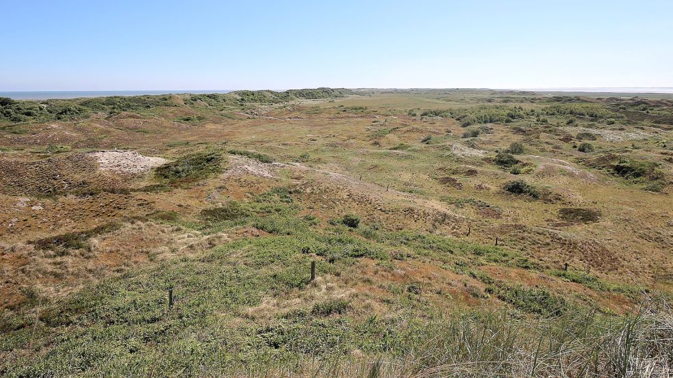 Beim Blick von der Melkhörndüne wird schnell klar: so nah ist die Meierei doch nicht. Foto: Böning