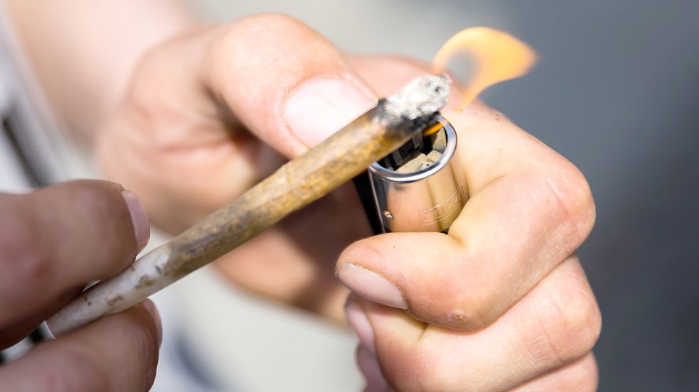 Die Ampel-Koalition plant die Legalisierung von Cannabis Foto: dpa