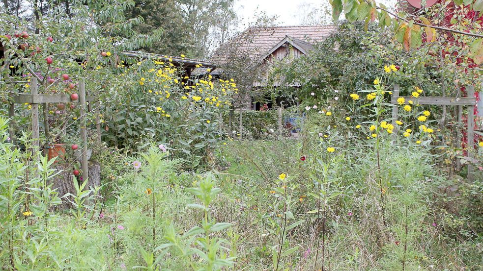 Blick durch den naturnahen Garten von Wybe Volger in Blomberg. Foto: Oltmanns