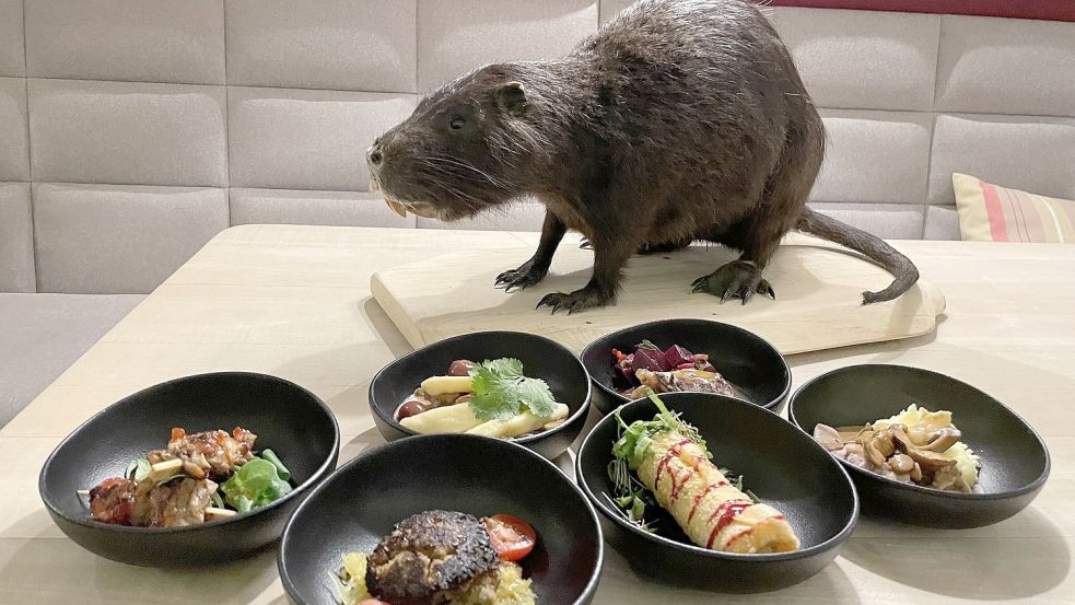 Frikadellen, Sate-Spieße, Schmorgerichte und vieles mehr hat Birgit Jansen schon aus Nutria-Fleisch zubereitet. Foto: Privat