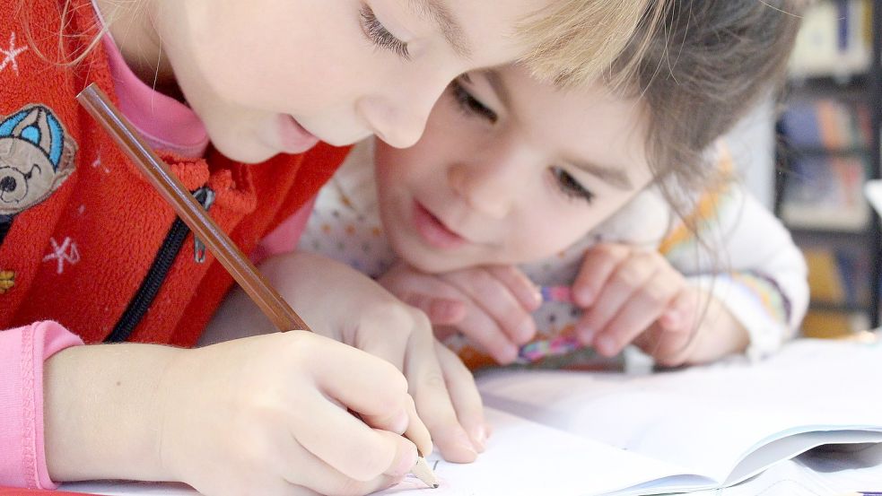 Bleiben alle vier Krummhörner Grundschulen geöffnet? Auf diese Entscheidung wird die derzeitige Bedarfsanalyse Einfluss haben. Symbolfoto: Pixabay