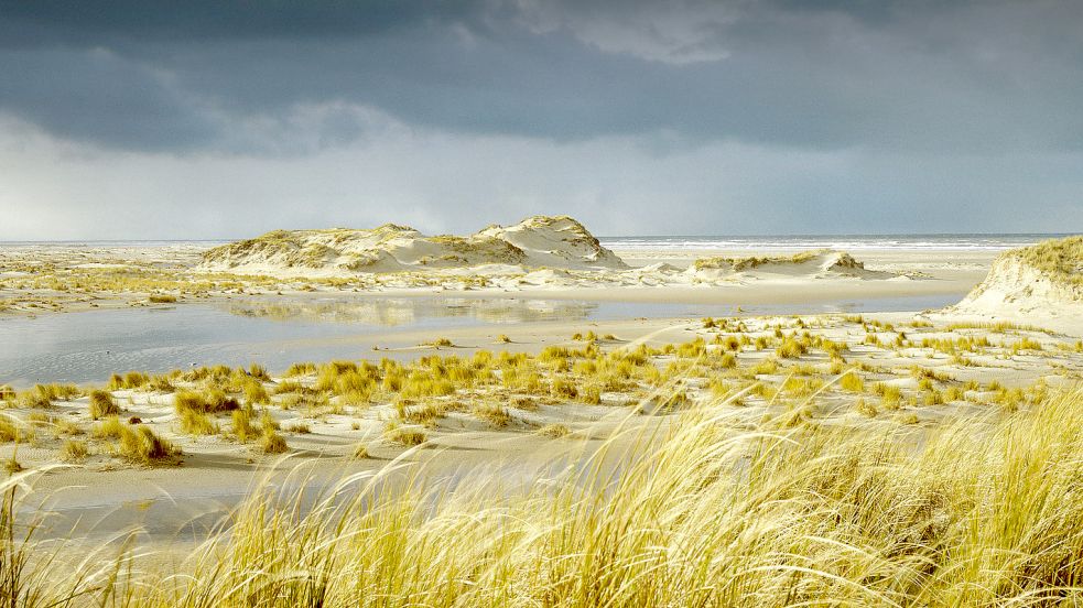 Blick über das wilde Ostende der Insel Norderney. Foto: Westerkamp