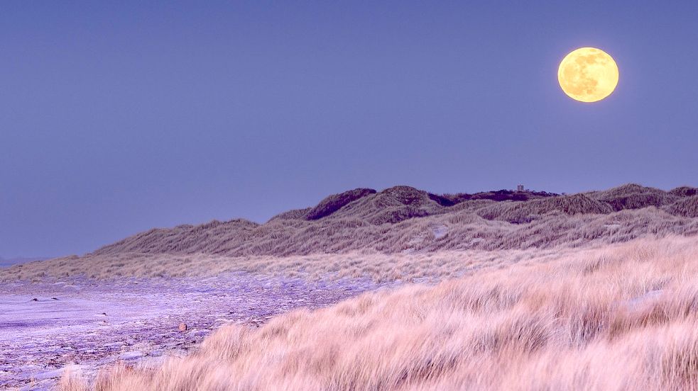 Langeoog: Für solche Fotos muss alles stimmen. Foto: Westerkamp
