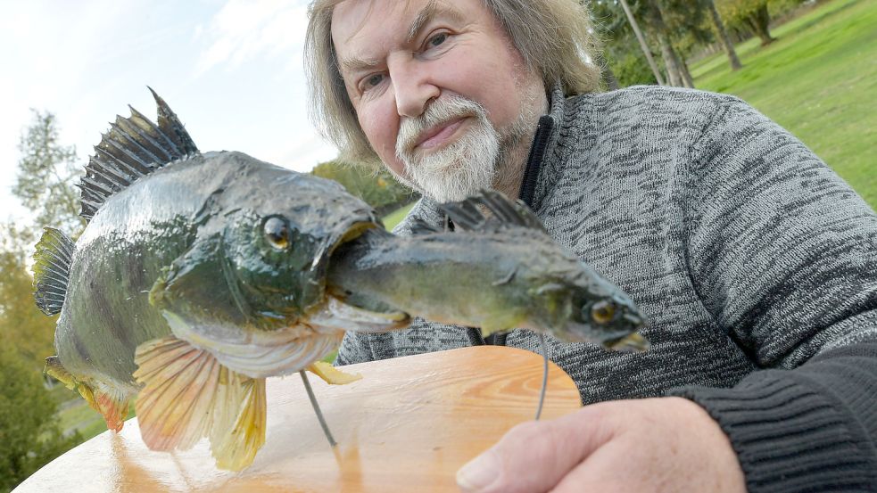 Besondere Exemplare wie dieser von Hinrich Raveling präsentierte Barsch werden präpariert und so der Nachwelt erhalten. Foto: Ortgies