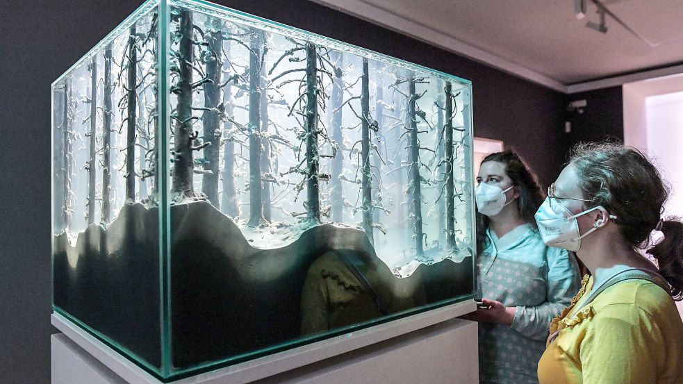 Besucherinnen sehen sich in der Kunsthalle das Aquarium-Objekt von Mariele Neudecker an. Foto: Ortgies