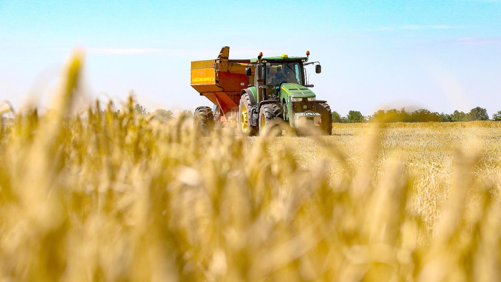 Derzeit läuft im Süden der Ukraine die Ernte. Foto: Ukrinform/dpa