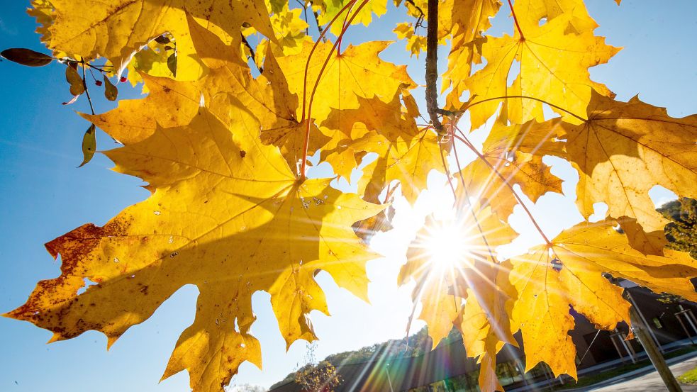 Sonniger Oktober: Die Sonne schien im vergangenen Monat in Ostfriesland überdurchschnittlich lange. Foto: Christoph Schmidt/dpa