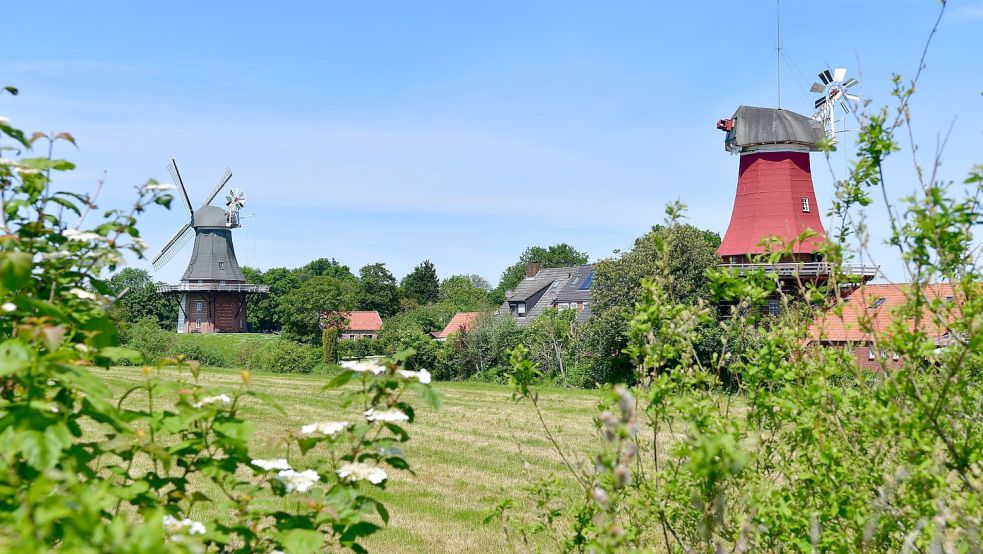 Nachdem im Jahr 2013 das Orkantief „Christian“ die Flügel, die Kappe und die Galerie der grünen Mühle abgerissen hatte, sorgte das für eine große Spendenbereitschaft, die bei der Reparatur half. Nun wird auch auf viele Spender für die rote Mühle gehofft, damit sich auch ihre Flügel wieder drehen können. Archivfoto: Wagenaar