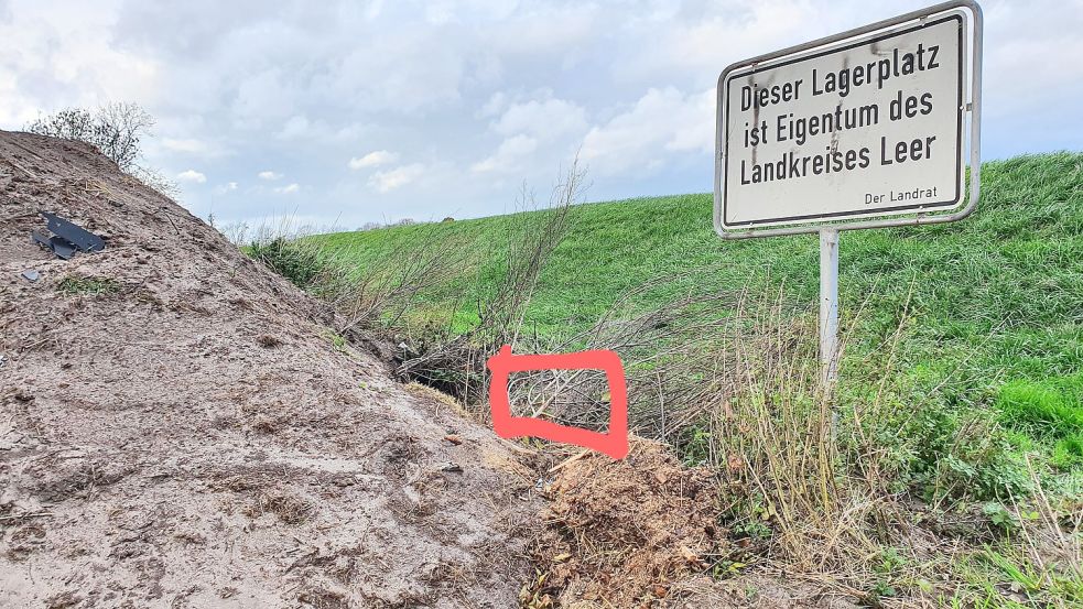 Der Karton mit den beiden Katzen darin wurde hinter einem Sandhafen abgelegt. Foto: Polizei