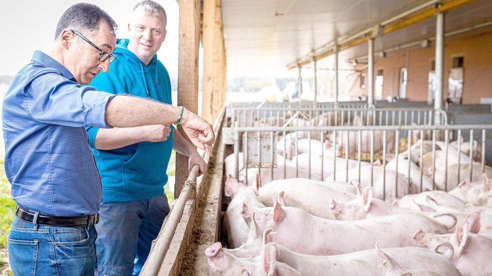 Cem Özdemir will als Bundeslandwirtschaftsminister ein Tierhaltungskennzeichen auf den Markt bringen, das anzeigen soll, wie das Schwein gelebt hat. Doch an Özdemirs Plan gibt es breite Kritik. Foto: Moritz Frankenberg/dpa