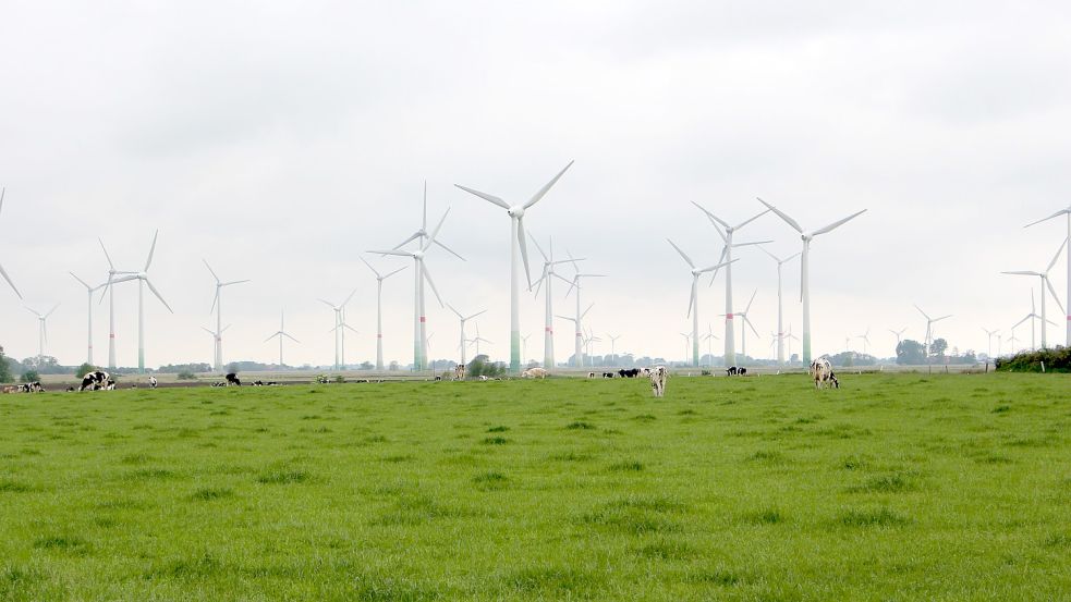 Zum Jahreswechsel soll eine Windkraftanlage aus einem bereits bestehenden Windpark übernommen werden. Foto: Oltmanns