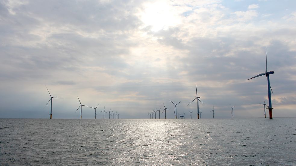 Windräder des Windparks Riffgat vor Borkum. Foto: Oltmanns