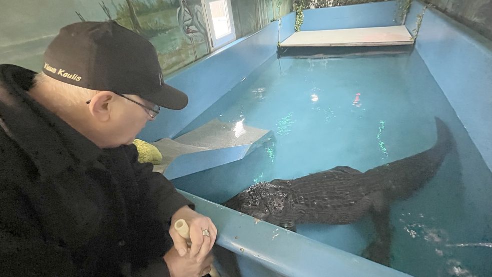 Mehr als 40 Jahre sind die beiden bereits ein Team: Alligator-Dame Frau Meyer und Klaus Kaulis. Foto: Katrin Glüsenkamp