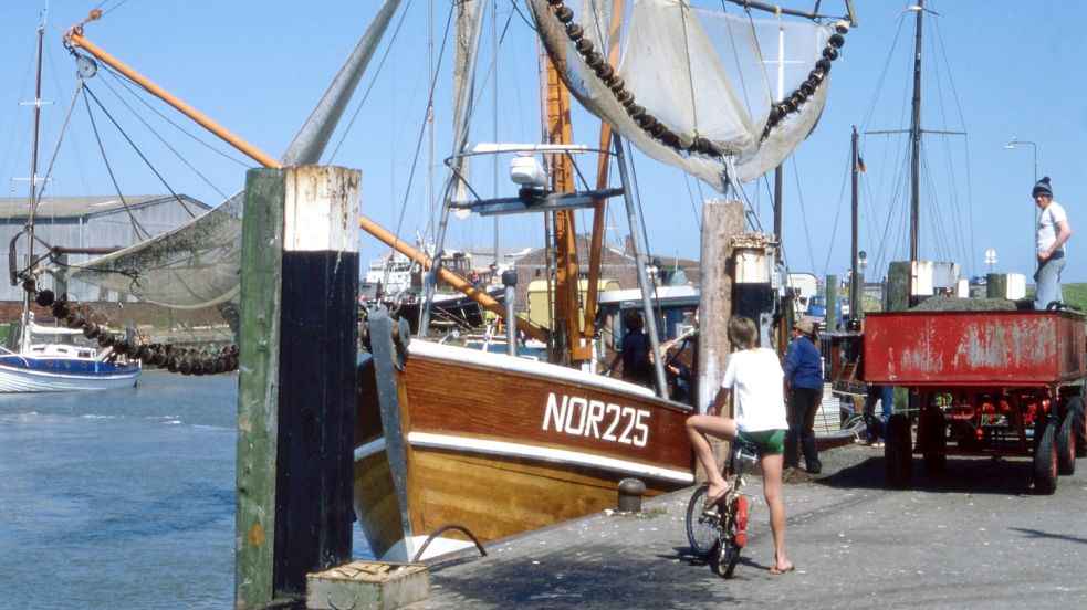 Die „Nordmeer“ mit der Kennung NOR 225 wurde von der Firma Siebo R. Noormann in Auftrag gegeben. Foto: Medienzentrum