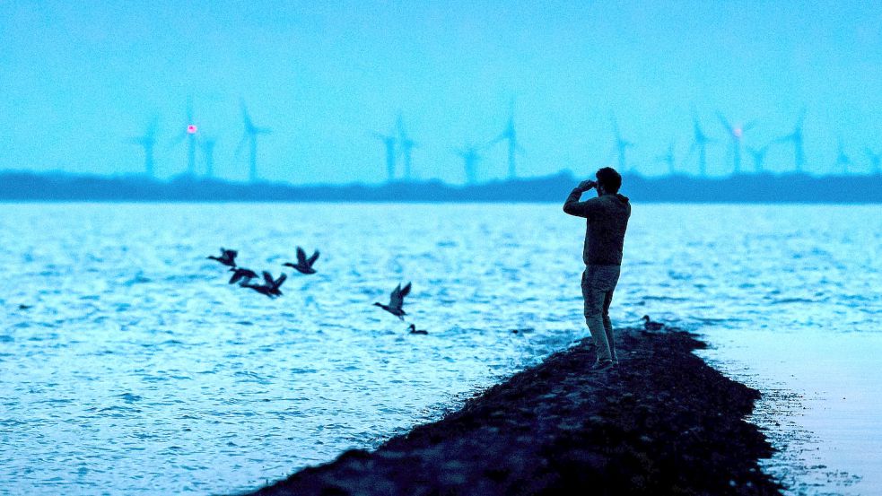 Ein Mann beobachtet Zugvögel, die über das Wattenmeer der Nordseebucht Jadebusen fliegen. Bei der 14. trilateralen Wattenmeerkonferenz in Wilhelmshaven wollen Vertreter der drei Anrainer Dänemark, Deutschland und der Niederlande von kommendem Montag an über ihre Zusammenarbeit für das Unesco-Weltnaturerbe beraten. Foto: Schuldt/dpa