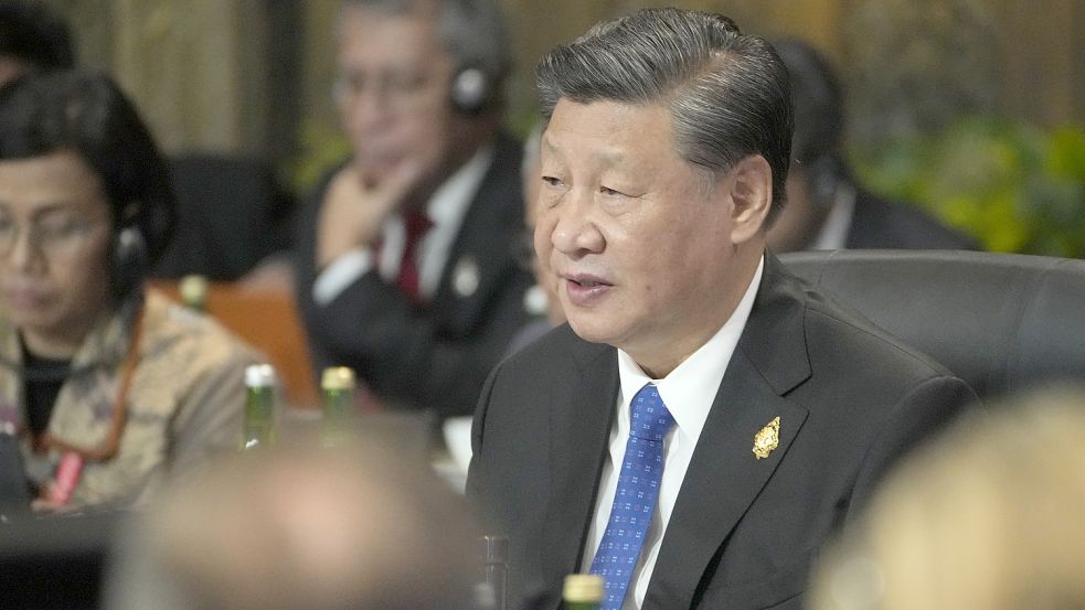 Menschen demonstrieren gegen Chinas Präsidenten Xi Jinping. Foto: dpa/AP Pool/Dita Alangkara