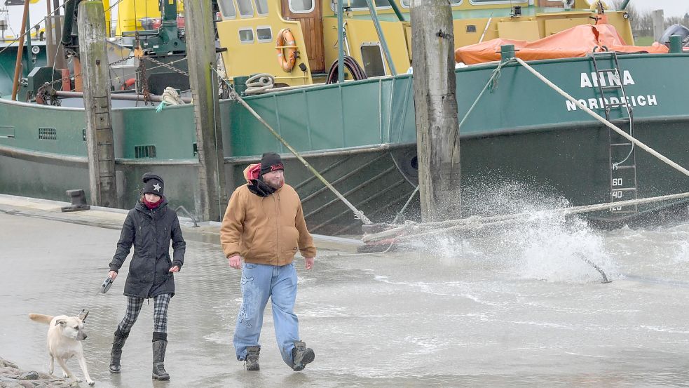 Sturmtief Ylenia peitschte im Februar die Nordsee auf. Foto: Archiv/Ortgies