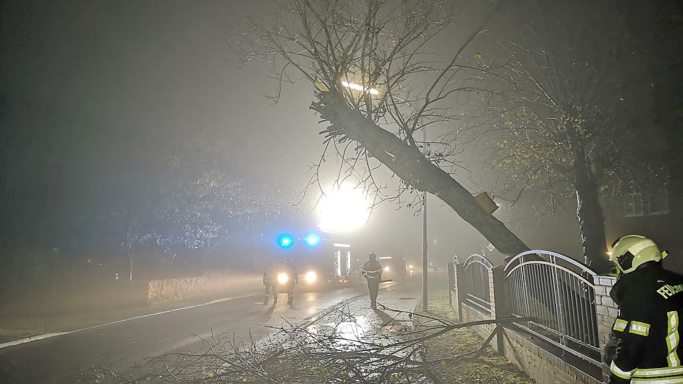 Gefahr für den Straßenverkehr: Ein Baum drohte auf den Schoolpad zu stürzen. Foto: Feuerwehr