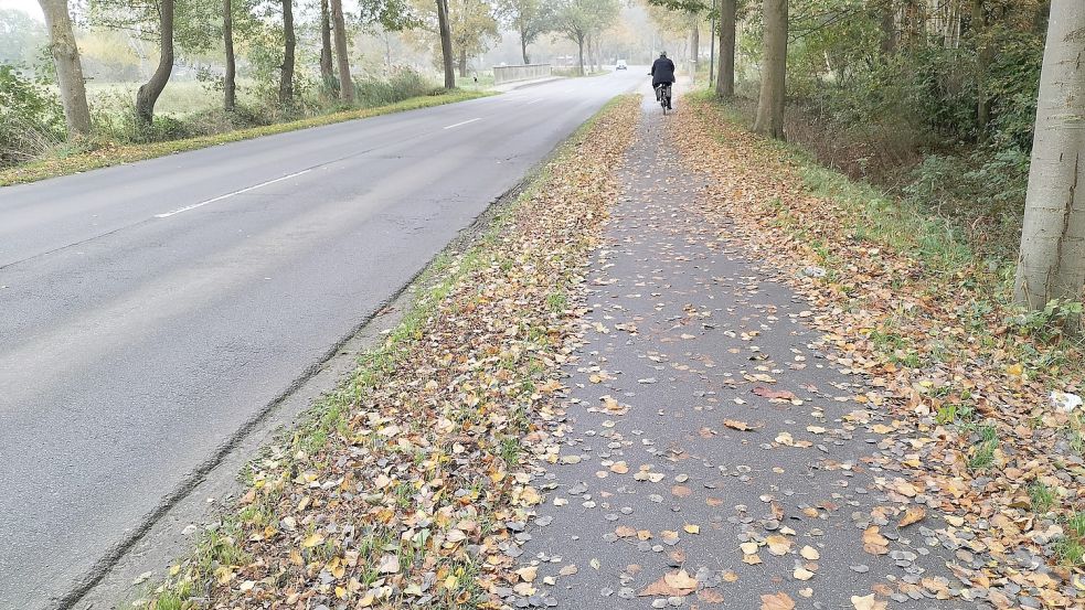 Laub auf dem Radweg, kein Laub auf der Fahrbahn: Dieses Foto vom Wallster Weg entstand vor rund drei Wochen. Foto: ADFC