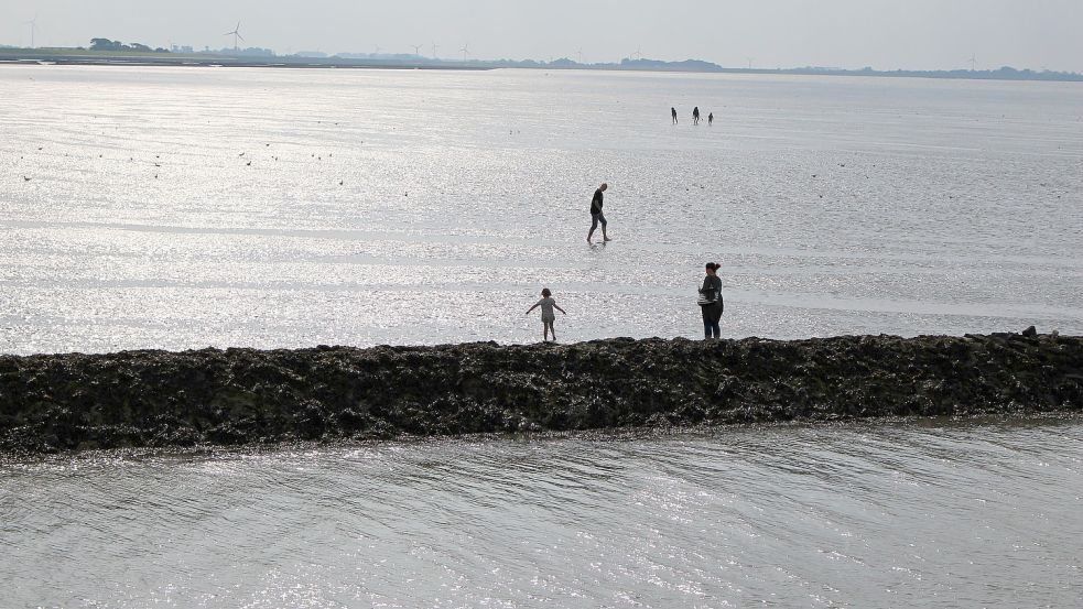 Das Wattenmeer vor Bensersiel. Foto: Oltmanns